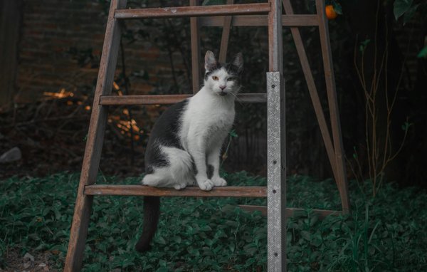 Est-ce que les nouvelles technologies améliorent la santé au quotidien ?