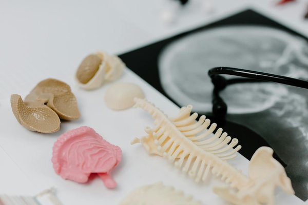 Comprendre les Signes de Fatigue chez les Seniors : Astuces Essentielles pour un Meilleur Éveil des Consciences